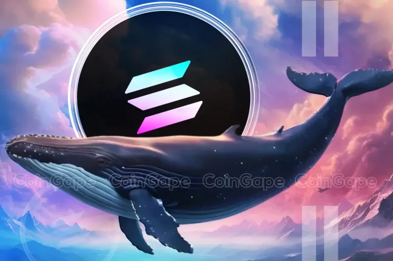 Will Solana Price Recover as Whales Accumulate $1.7M SOL?