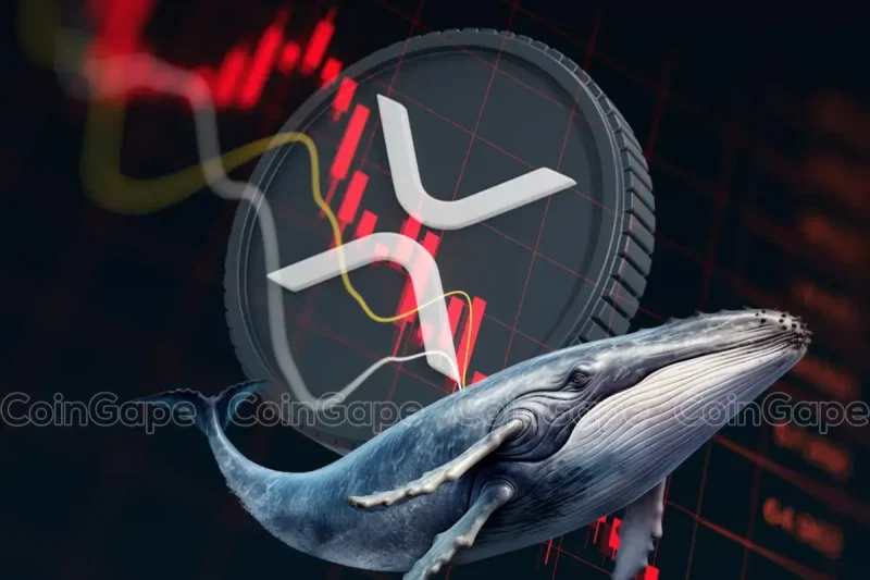 Ripple Whale Moves $64M As Analyst Predicts XRP Price  Bullish Breakout