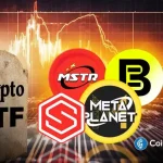 Expert Says Crypto ETFs Could Be ‘Death-Knell’ for Treasury Firms MSTR, MTPLF, BMNR, SBET