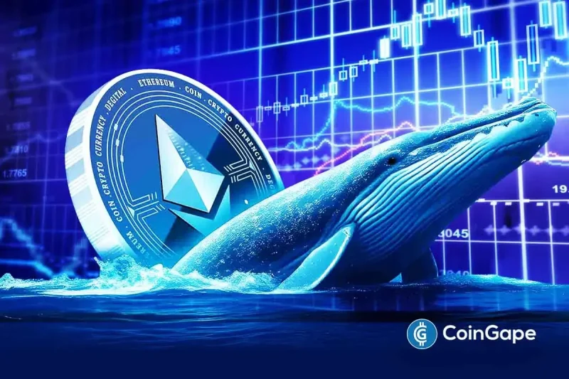 Is Ethereum Price Set for a rebound as Whale accumulation Intensifies?
