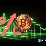 99.3% of Bitcoin Supply in Profit, Analyst Warns of Short-Term Correction