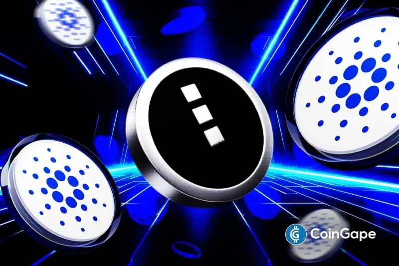 Cardano Price Outlook as NIGHT Token Set to Launch on December 8