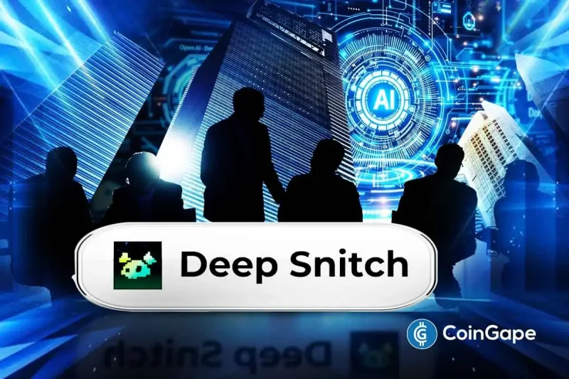 DeepSnitchAI Raising funds to Build AI Intelligence for Investors